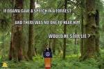 Obama Forest still Lie
